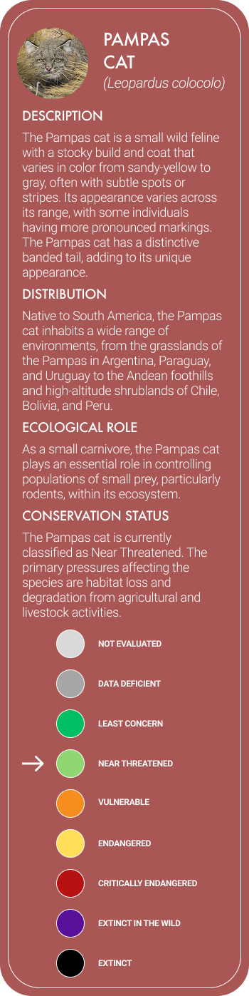 Pampas Cat Mobile
