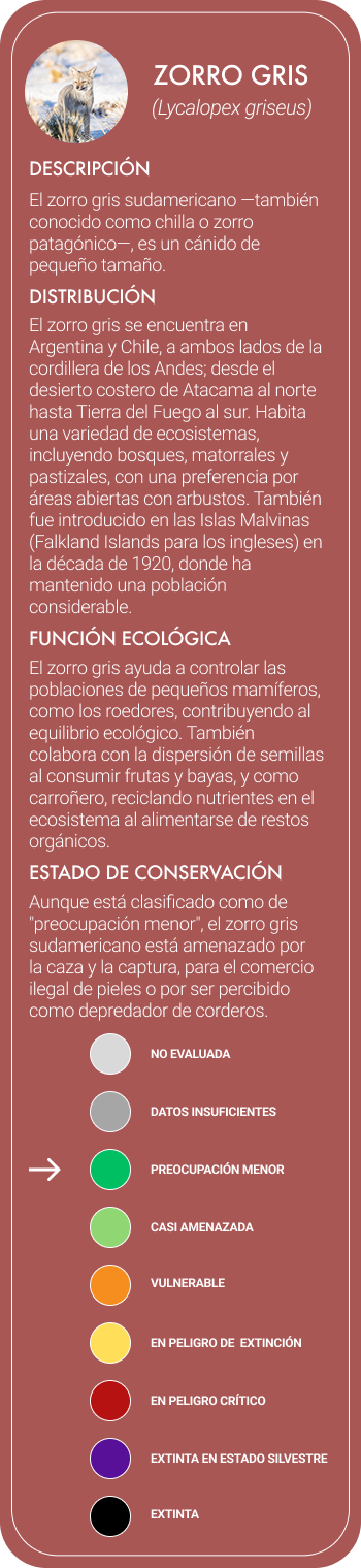 gatomontes